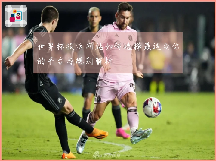 世界杯投注网站如何选择最适合你的平台与规则解析
